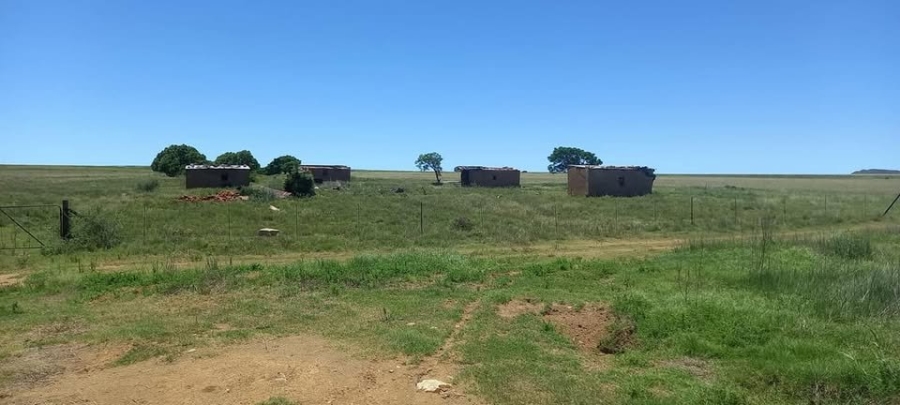 5 Bedroom Property for Sale in Edenburg Rural Free State
